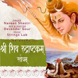 Shri Shiv Rudrashtkam Strotam-QD5ZUzByAXI