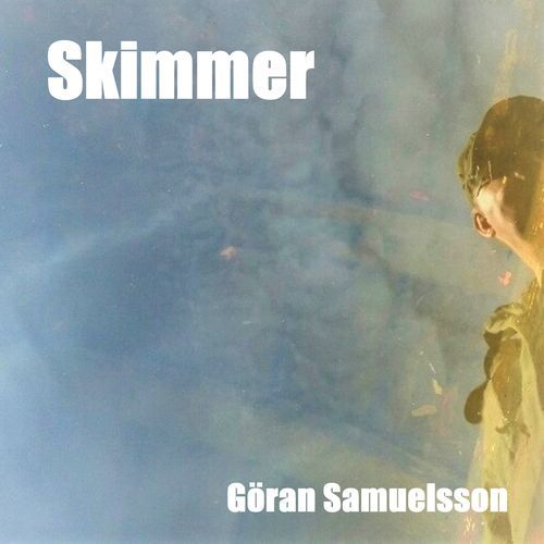 Skimmer cover art