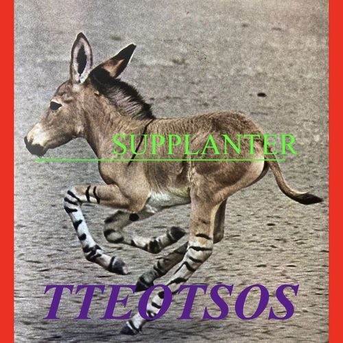 Supplanter cover art