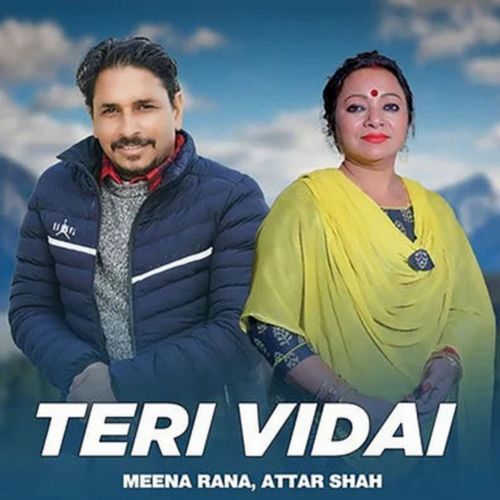 Teri Vidai