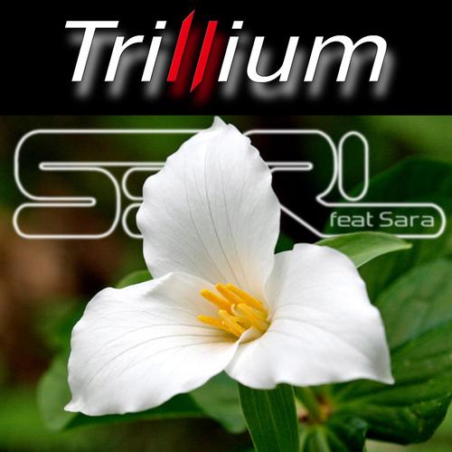 Trillium (feat. Sara)