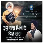 Tudh Baajh Pyare Kev Raha