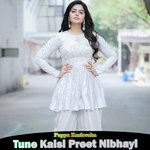 Tune Kaisi Preet Nibhayi