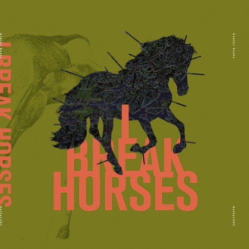 I Break Horses