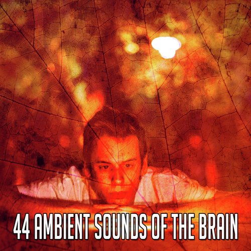 44 Ambient Sounds of the Brain_poster_image