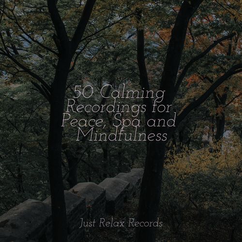 50 Calming Recordings for Peace, Spa and Mindfulness