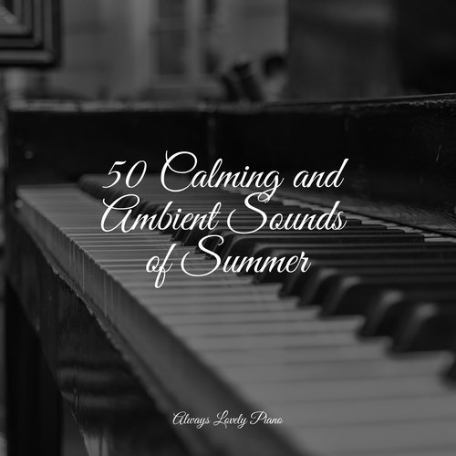 50 Calming and Ambient Sounds of Summer