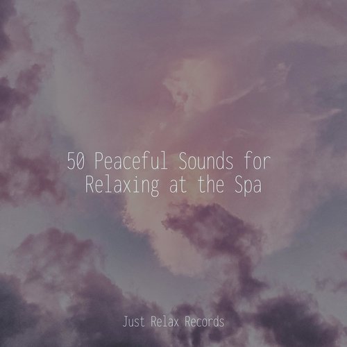 50 Peaceful Sounds for Relaxing at the Spa