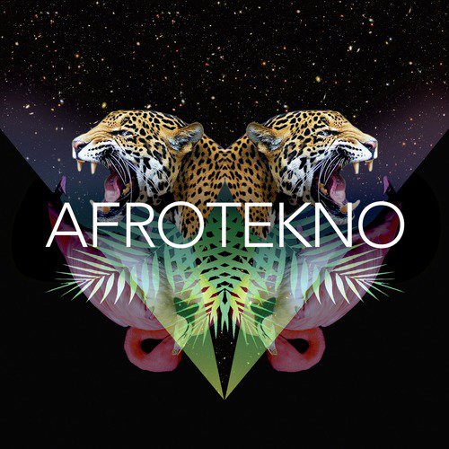 Afrotekno Pt. 1 (King Riddim)_poster_image