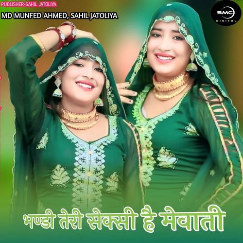 BHANDI TERI SEXI HAI MEWATI