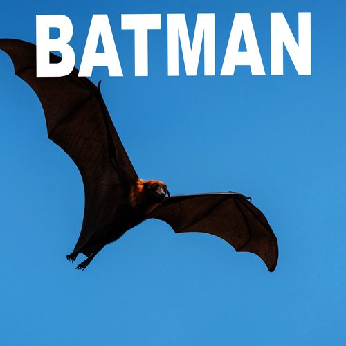 Batman_poster_image