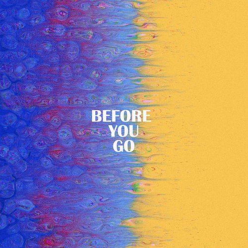 Before You Go