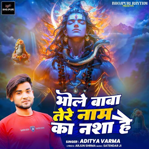 Bhole Baba Tere Naam Ka Nasha Hai