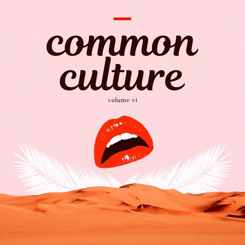 Common Culture, Vol. VI Album Commentary