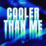 Cooler Than Me (Techno Mix)