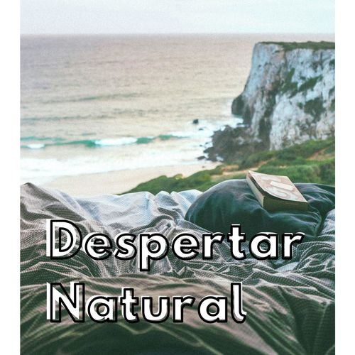 Sonidos de Ballenas para Dormir cover art