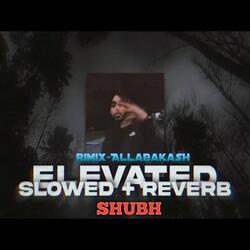 Elevated shubh (feat. Mr kallar)