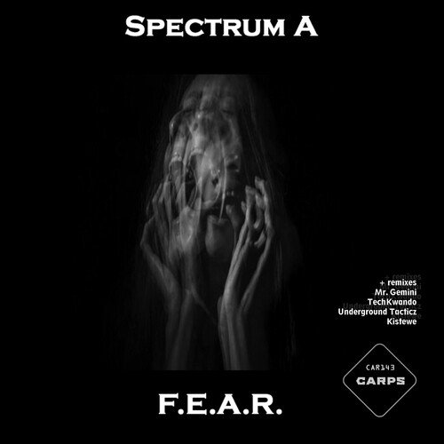 F.E.A.R. (Underground Tacticz Remix) cover art