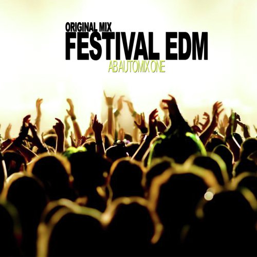 Festival EDM (Original Mix)