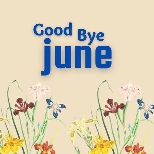Good Bye June
