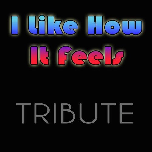 I Like How It Feels (feat. Pitbull &amp; The WAV.s)_poster_image