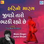 Jivado Taro Bhatki Rahyo Chhe artwork