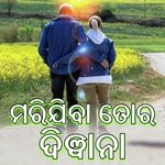 Mari Jiba Tor Diwana