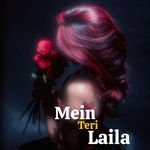 Mein Teri Laila