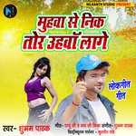 Muhwa se Nik uhwa laage