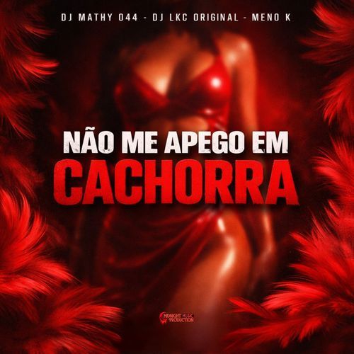Não Me Apego Em Cachorra cover art