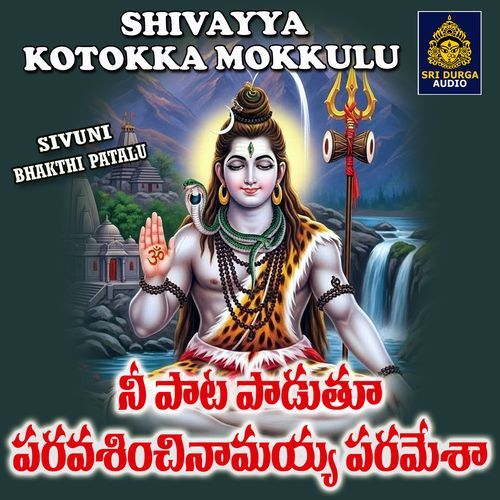Neepat padutu paravasinchinamayya paramesa