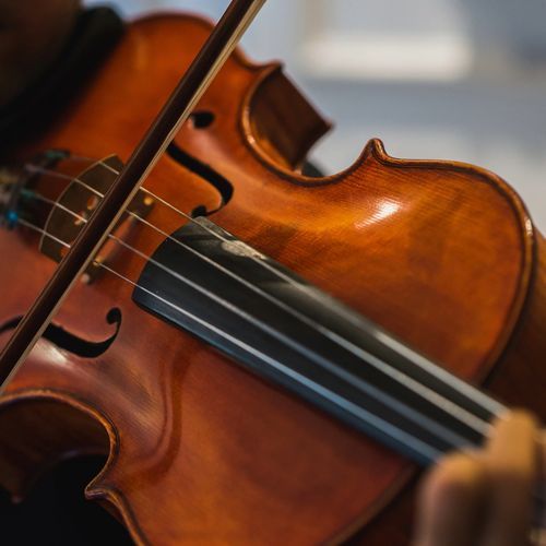 Peaceful Pups: Orchestra Serenades for Restful Dogs