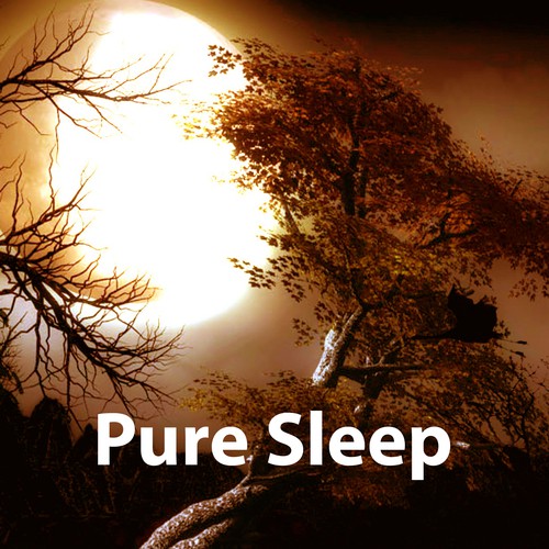 Pure Sleep – Nature Sounds for Relaxation, Healing Water, Deep Nature, Calm Melodies Help Sleep, Sound Therapy, Pure Brain