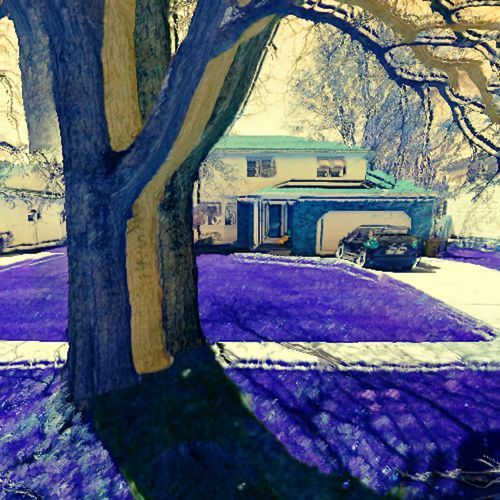 Red Oak cover art