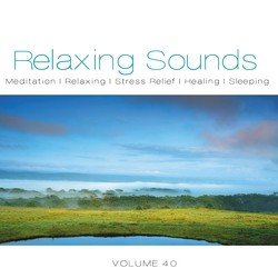 Relaxing Sounds, Vol. 40