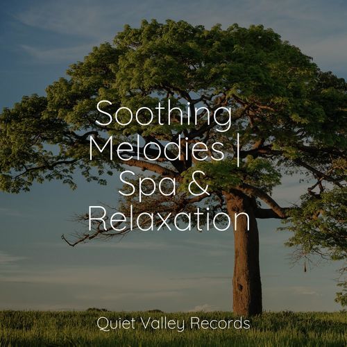 Soothing Melodies | Spa & Relaxation