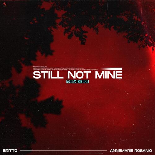 Still Not Mine (Josh Edew Remix)