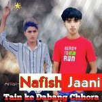 Tain ke Dabang Chhora (Mewati)