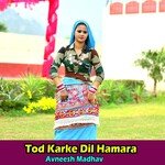 Tod Karke Dil Hamara