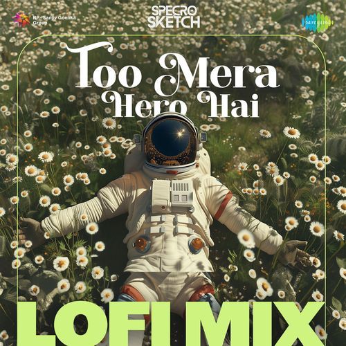 Too Mera Hero Hai - Lofi Mix