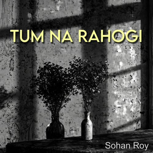 Tum Na Rahogi