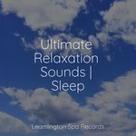 Gentle Sleep Music