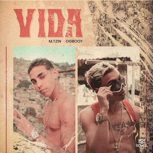 Vida_poster_image