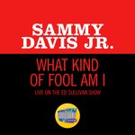 What Kind Of Fool Am I (Live On The Ed Sullivan Show, June 14, 1964)