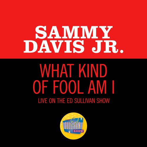 What Kind Of Fool Am I (Live On The Ed Sullivan Show, June 14, 1964)_poster_image