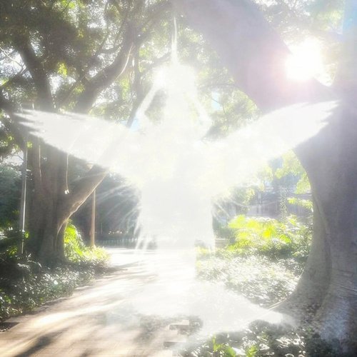 is it the sun? cover art