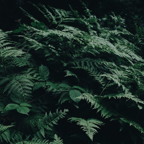 Gaia cover art