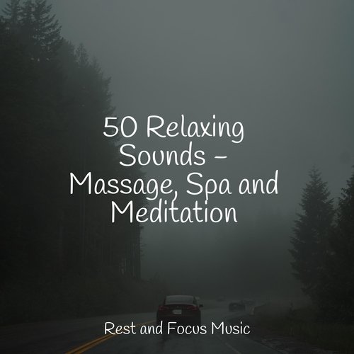 50 Relaxing Sounds - Massage, Spa and Meditation