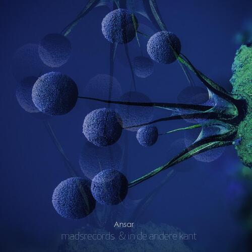 Ansar cover art