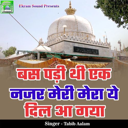 Bas Padi Thi Ek Nazar Meri Mera Ye Dil Aa Gaya